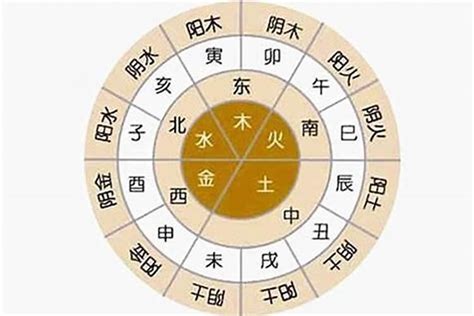 五行分數意思|八字五行分析详解